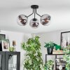 Gastor Lampa sufitowa, Kula świetlna Chrom, Przezroczysty, Przydymiony, 3-punktowe