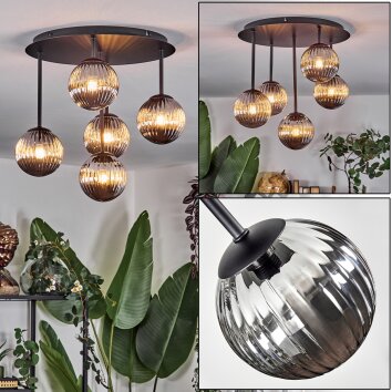 Chehalis Lampa sufitowa, Kula świetlna Przydymiony, 5-punktowe Chehalis Lampa sufitowa, Kula świetlna Przydymiony, 5-punktowe