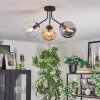 Gastor lampa sufitowa, kula świetlna 42 cm bursztynowy, przezroczysty, przydymiony, 3-punktowe