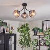 Koyoto Lampa sufitowa, Kula świetlna Przezroczysty, Przydymiony, 3-punktowe
