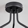 Koyoto Lampa sufitowa, Kula świetlna Przezroczysty, Przydymiony, 3-punktowe