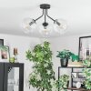 Ripoll Lampa sufitowa, Kula świetlna Przezroczysty, 3-punktowe