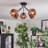 Koyoto Lampa sufitowa, Kula świetlna 52 cm Przezroczysty, W kolorze miedzi, 5-punktowe