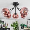 Koyoto Lampa sufitowa, Kula świetlna 52 cm Przezroczysty, W kolorze miedzi, 5-punktowe