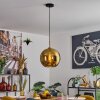 Koyoto Lampa wisząca, Kula świetlna, Lampa wisząca Złoty, Czarny, 1-punktowy