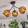 Ripoll Lampa sufitowa, Kula świetlna Złoty, 3-punktowe