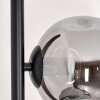 Ripoll Lampa stojąca Przydymiony, 5-punktowe