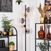 Koyoto Lampa stojąca 31 cm W kolorze bursztynu, Przezroczysty, Przydymiony, 5-punktowe