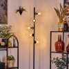 Koyoto Lampa stojąca 31 cm Przezroczysty, 5-punktowe