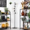 Koyoto Lampa stojąca 31 cm Przezroczysty, 5-punktowe