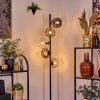 Ripoll Lampa stojąca W kolorze bursztynu, Przezroczysty, Przydymiony, 5-punktowe