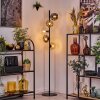 Ripoll Lampa stojąca W kolorze bursztynu, Przezroczysty, Przydymiony, 5-punktowe