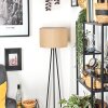 Soungou Lampa stojąca Czarny, 1-punktowy