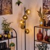 Ripoll Lampa stojąca Złoty, Przezroczysty, 5-punktowe