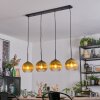Koyoto Lampa wisząca, Kula świetlna, Lampa wisząca Złoty, Przezroczysty, 4-punktowe