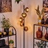 Ripoll Lampa stojąca Przezroczysty, W kolorze miedzi, 5-punktowe
