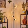 Ripoll Lampa stojąca Przezroczysty, 5-punktowe