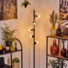 Ripoll Lampa stojąca Przezroczysty, 5-punktowe