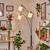 Bassagoda Lampa stojąca Czarny, 3-punktowe
