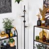 Koyoto Lampa stojąca Przezroczysty, 4-punktowe