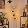 Koyoto Lampa stojąca Przezroczysty, 4-punktowe
