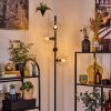 Koyoto Lampa stojąca Przezroczysty, 4-punktowe