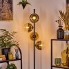 Koyoto Lampa stojąca Złoty, Przezroczysty, 4-punktowe
