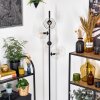 Ripoll Lampa stojąca Przezroczysty, 4-punktowe