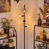 Ripoll Lampa stojąca Przezroczysty, 4-punktowe