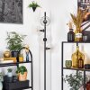 Ripoll Lampa stojąca Przezroczysty, 4-punktowe