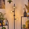 Ripoll Lampa stojąca Przezroczysty, 4-punktowe