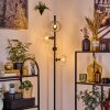 Ripoll Lampa stojąca Przezroczysty, 4-punktowe