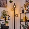 Ripoll Lampa stojąca W kolorze bursztynu, Przezroczysty, Przydymiony, 4-punktowe
