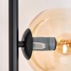 Koyoto Lampa stojąca W kolorze bursztynu, Przezroczysty, 5-punktowe