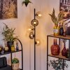 Koyoto Lampa stojąca W kolorze bursztynu, Przezroczysty, Przydymiony, 5-punktowe
