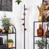 Koyoto Lampa stojąca 31 cm Przezroczysty, 5-punktowe