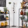 Koyoto Lampa stojąca 31 cm Przezroczysty, 5-punktowe