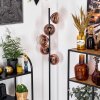 Koyoto lampa stojąca 31 cm przezroczysty, miedziany, 5-punktowe