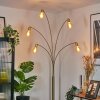 Codecreo Lampa stojąca Mosiądz, Czarny, 5-punktowe