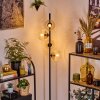Koyoto Lampa stojąca W kolorze bursztynu, Przezroczysty, 4-punktowe