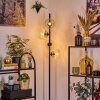 Koyoto Lampa stojąca W kolorze bursztynu, Przezroczysty, 4-punktowe