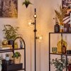 Koyoto Lampa stojąca Przezroczysty, 4-punktowe