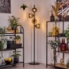 Koyoto Lampa stojąca Przydymiony, 4-punktowe