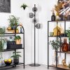 Koyoto Lampa stojąca Przydymiony, 4-punktowe