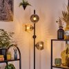 Koyoto Lampa stojąca W kolorze bursztynu, Przezroczysty, Przydymiony, 4-punktowe