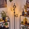 Koyoto Lampa stojąca W kolorze bursztynu, Przezroczysty, Przydymiony, 4-punktowe