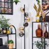 Koyoto Lampa stojąca W kolorze bursztynu, Przydymiony, 6-punktowe