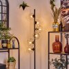Ripoll Lampa stojąca Przezroczysty, 6-punktowe