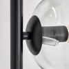 Ripoll Lampa stojąca Przezroczysty, 6-punktowe