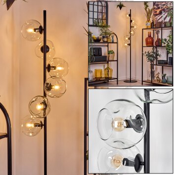 Ripoll Lampa stojąca Przezroczysty, 6-punktowe
